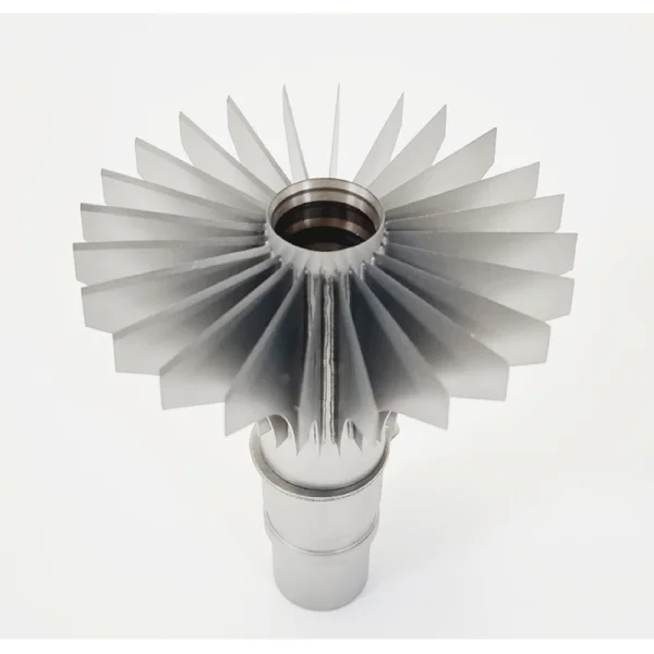 2026_06_30_1005955